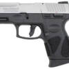 Taurus G2C 9mm Sub-Compact Pistol with Stainless Slide - Image 2