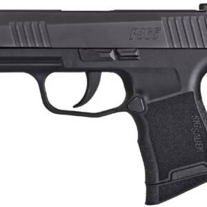 Sig Sauer P365 Nitron Micro-Compact 9mm 10rd 3.1" Pistol 365-9-BXR3